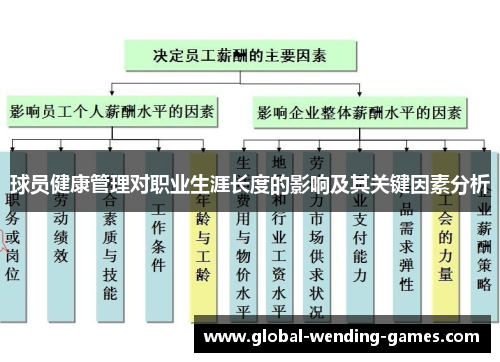 球员健康管理对职业生涯长度的影响及其关键因素分析 球员健康管理对职业生涯长度的影响及其关键因素分析