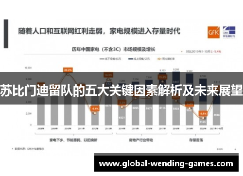 苏比门迪留队的五大关键因素解析及未来展望 苏比门迪留队的五大关键因素解析及未来展望